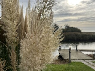 Ferienhaus Makkum Außenaufnahme 13