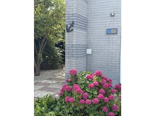 Ferienhaus Makkum Außenaufnahme 15