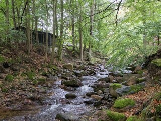 Apartamento Ilsenburg Entorno 32