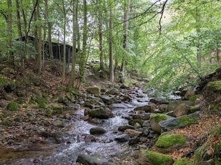 Appartement Ilsenburg Omgeving 32