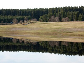 Appartement Ilsenburg Omgeving 32