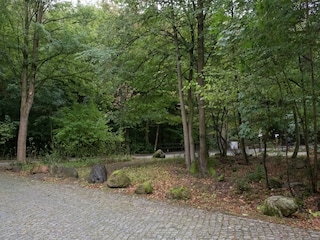 Apartment Ilsenburg Umgebung 36