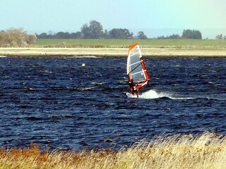 Surfen im Meldorfer Koog