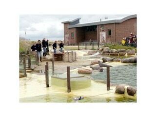 Seehundstation Friedrichskoog