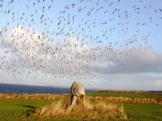 Casa per le vacanze Helnæs Registrazione all'aperto 18