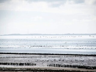 Casa de vacaciones Højer  37