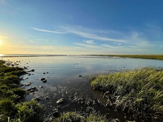 Ferienhaus Højer  10