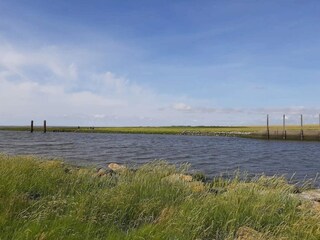 Ferienhaus Højer  13