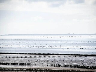 Vakantiehuis Højer  23