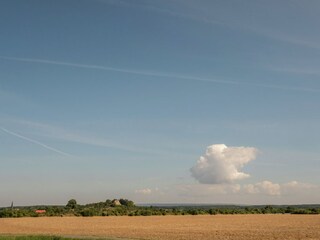 Appartement Ilsenburg Environnement 37