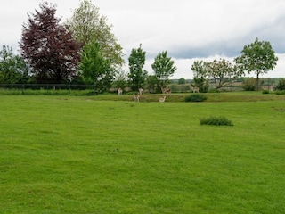 Cottage Simpelveld Außenaufnahme 7