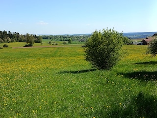 Musbach