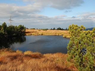 Nationalpark Schwarzwald