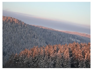 Schwarzwald