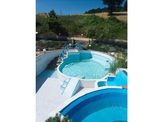 Cooling place for humans and dogs