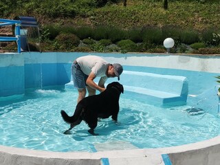 dog pool