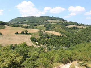 surroundings holiday home