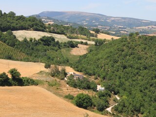 surroundings holiday home
