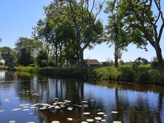 Die Aussicht