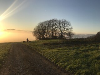 Traumpfad Riedener Waldsee