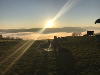 Traumpfad Riedener Waldsee