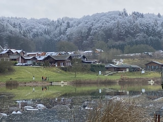 Waldsee Rieden im ankommendem Winter