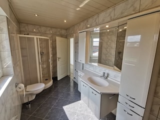 Dusche + größer Spiegekschrank  Haarföhn