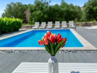 Villa Galižana Außenaufnahme 4