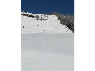 Kronplatz Ski Area - Piculin