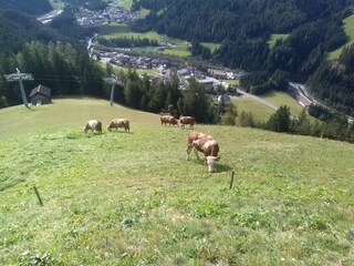Lüch de Anvì