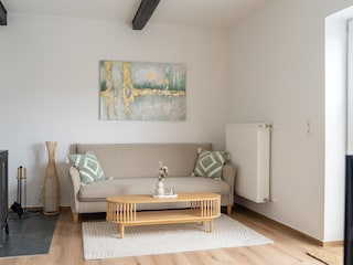 Wohnzimmer mit Schlafcouch, smart TV und Kamin