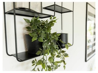 Appartamento per vacanze Braunlage Caratteristiche 9