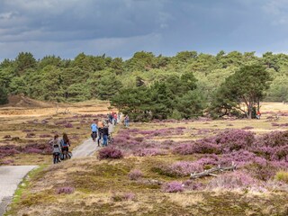 Villa Bennekom Environment 30