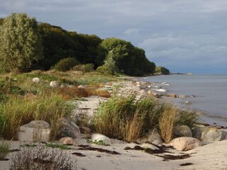 Vakantiehuis Tranekær  35