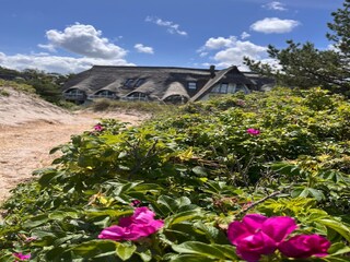 Casa de vacaciones Dierhagen Grabación al aire libre 2