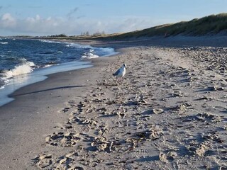 Holiday house Dierhagen Environment 25