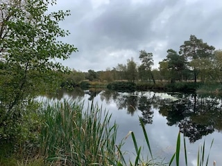 Vakantiehuis Dierhagen Omgeving 26