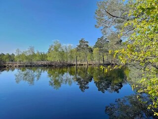 Casa per le vacanze Dierhagen Ambiente 28