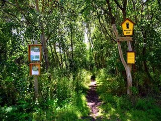 Holiday house Dierhagen Environment 29