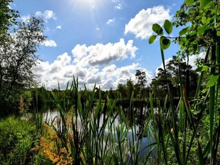 Maison de vacances Dierhagen Environnement 30
