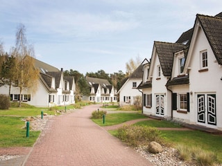 Appartement Dierhagen Omgeving 14
