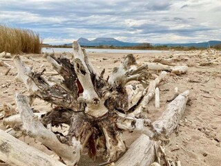 Apartamento L'Estartit Entorno 12