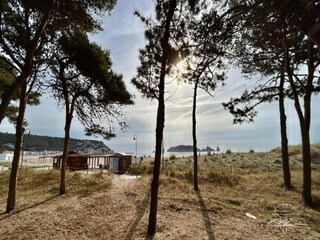 Appartement L'Estartit Omgeving 22