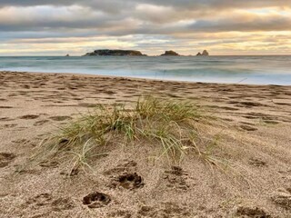 Apartment L'Estartit Umgebung 25