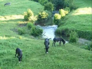 Parc de vacances Bardos Environnement 26
