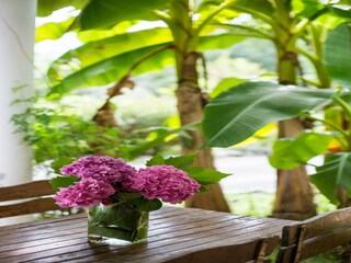 Vakantiepark Bardos Buitenaudio-opname 2