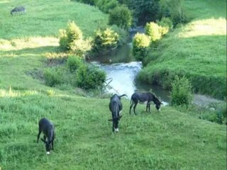 Parc de vacances Bardos Environnement 23