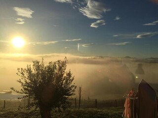 Parco vacanze Bardos Ambiente 24