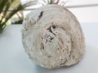 Appartement Koločep Enregistrement extérieur 1