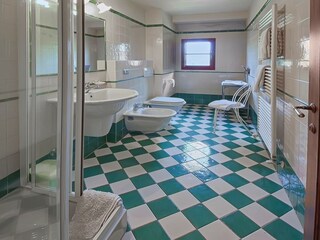 Vakantiehuis Reggello Kenmerken 19